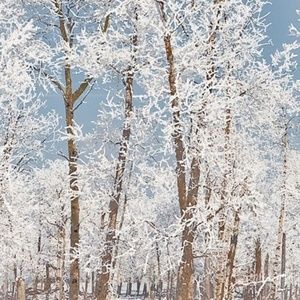 Meet your Posher, Claudine